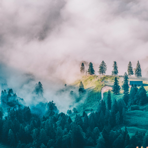 微风吹皱 (轻音乐)