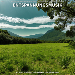 Instrumental gegen Panikattacken