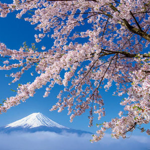 コールドブレイカー