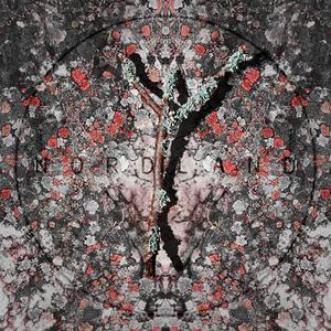 Nidstång (2021 Remaster)