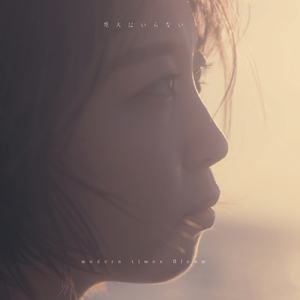 花火はいらない