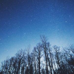 Somewhere in a Dream