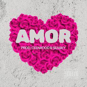 Amor (feat. Prod. CedWood & SeaSky)