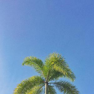 Azul (feat. La Chaloupe)