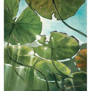 Looking At Me (sped up)