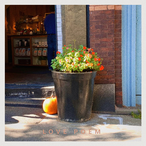 널 떠올리며 쓴 시 Love Poem