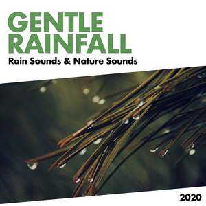 Rainbands (Original Mix)