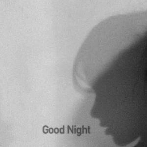 Shiloh Dynasty-What we did（Hg / Vee嶵 remix）