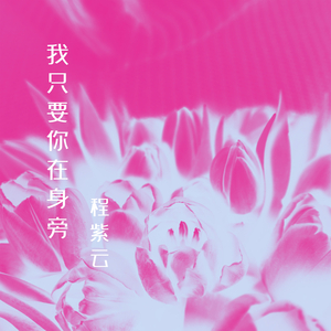 我只要你在身旁