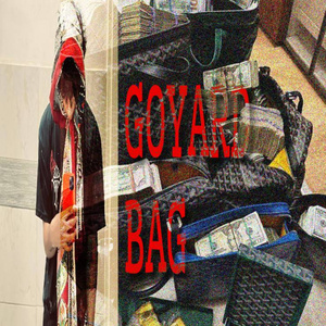 GOYARD BAG (Demo)