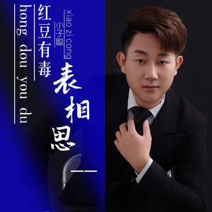 红豆有毒表相思 (男版伴奏)