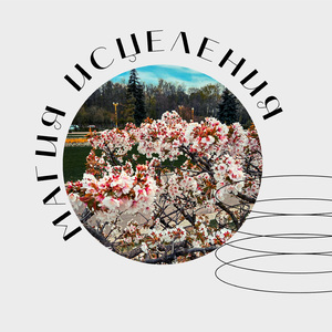 Целительная музыка