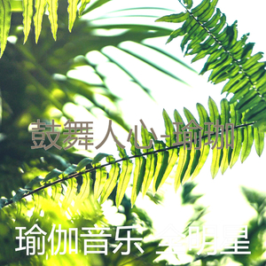 阳光明媚(瑜珈)