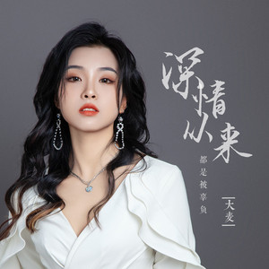 深情从来都是被辜负 (DJ光波版)