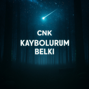 Kaybolurum Belki