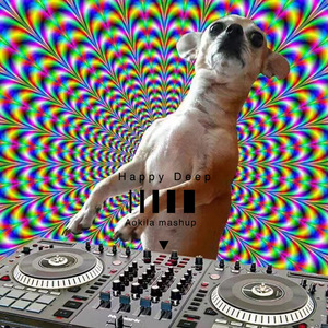Happy Deep（mashup）