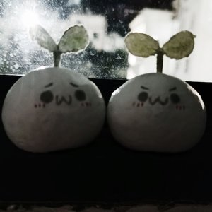 偷看你的世界