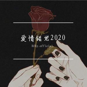 半吨兄弟-爱情错觉 .DJXy2020完整版