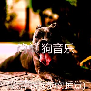 泡状(音乐)