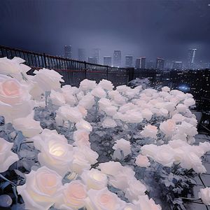 想想念念（cover皮卡丘多多）