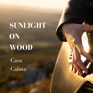Sunlight on Wood