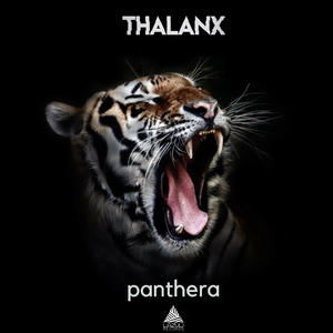 Panthera (original mix)