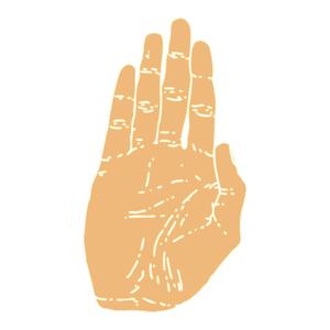 Summer Nights in Paradise