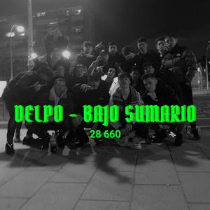 Bajo Sumario