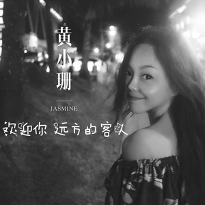 欢迎你 远方的客人