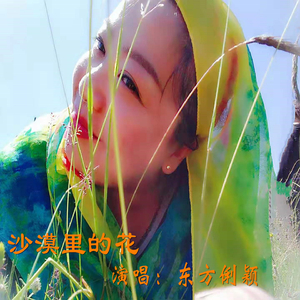 沙漠里的花