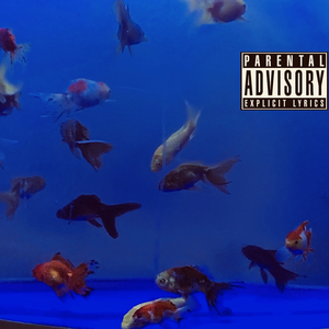 Alpha.prod Stephenday