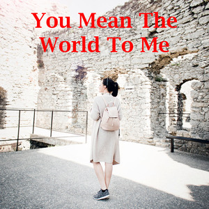 You Mean The World To Me