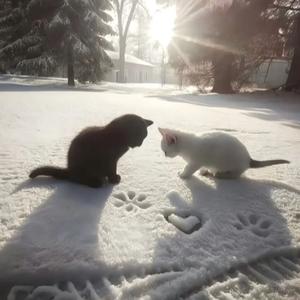 风吹过我们这一页（枷锁）