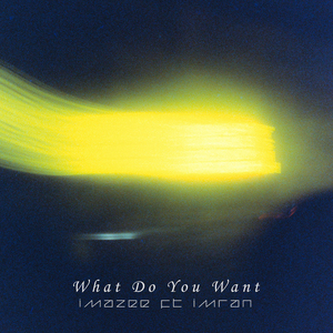 What Do You Want (feat. Imran)