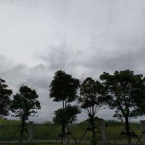 雨巷尽头的孤影