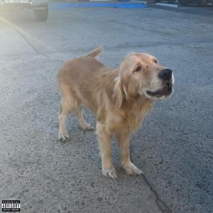 Winning Hand (feat. Matt Holcombe)