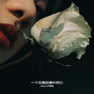 一个文青的意外死亡