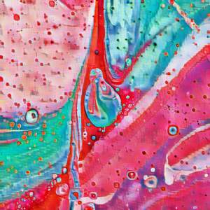 Olympuis taster moces