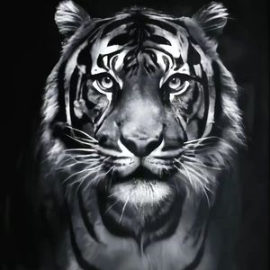 dj小奕-写了又删的歌.我会永远的爱你—然然专属中文FK（dj小奕 remix）