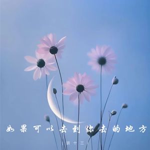 如果可以去到你去的地方