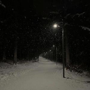 meek mill freestyle (feat. Saltyngget)