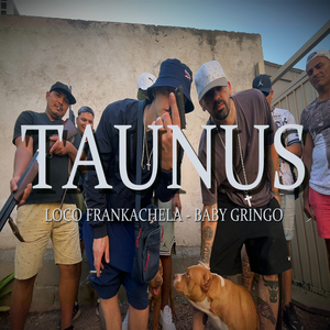 Taunus