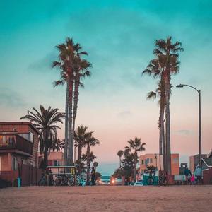 【free】沿途亦风景