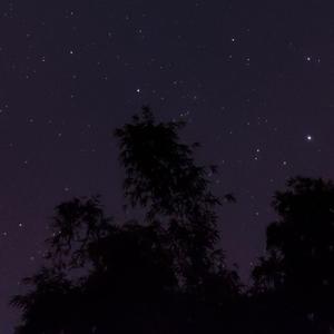 网易云（翻自姜云升）