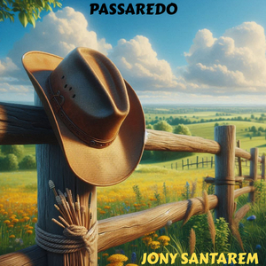 Passaredo