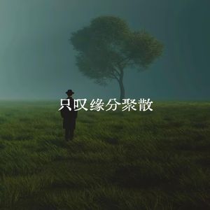 只叹缘分聚散