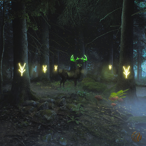 Noctem