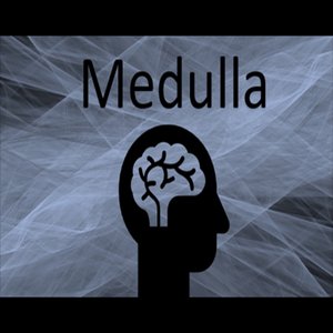 Medulla