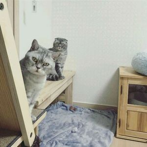 Vidya Vox Cover & Mr Steven - This Is What You Came[ Funky Music ]