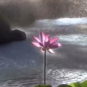 GET READY ! (feat. reignvanta)